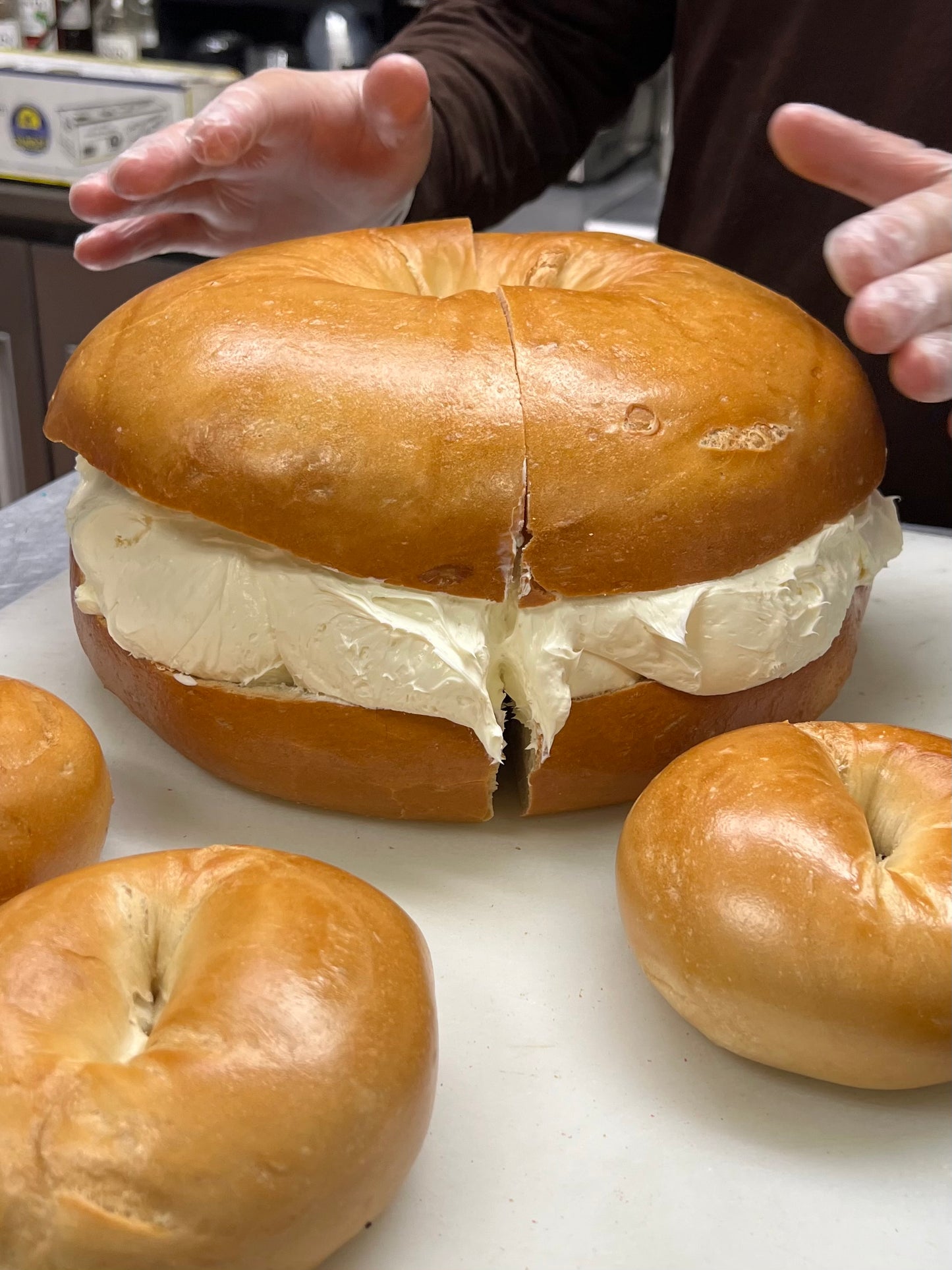 XL Bagel Beast