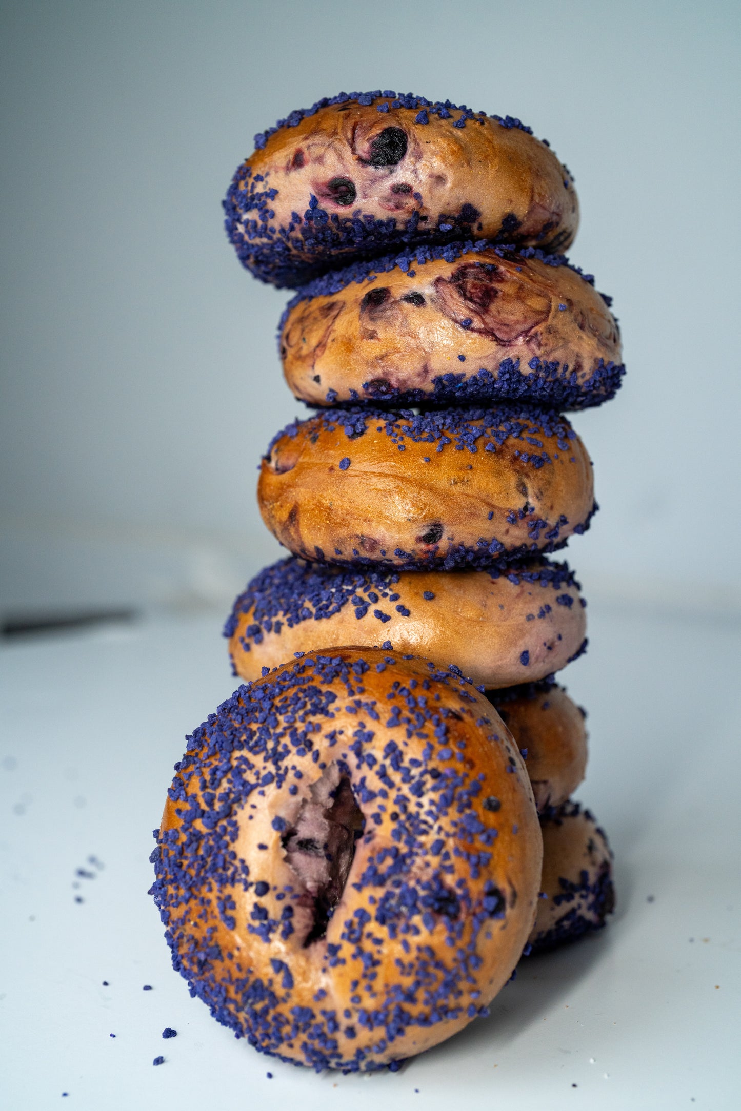 Signature Sweet & Savory Bagel Box (12 Bagels)