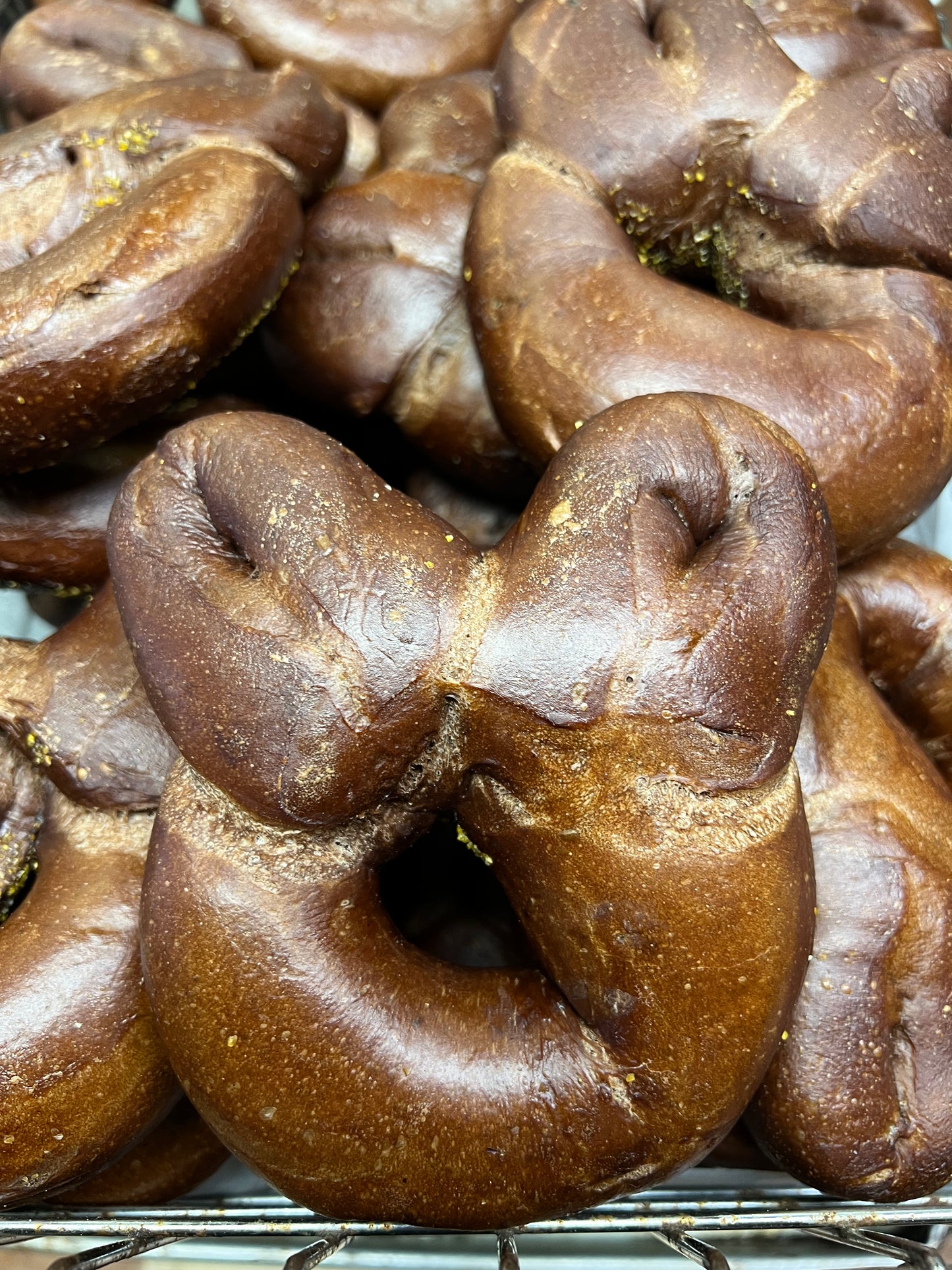 Chocolate Bunny Bagel Box (12 Bagels)